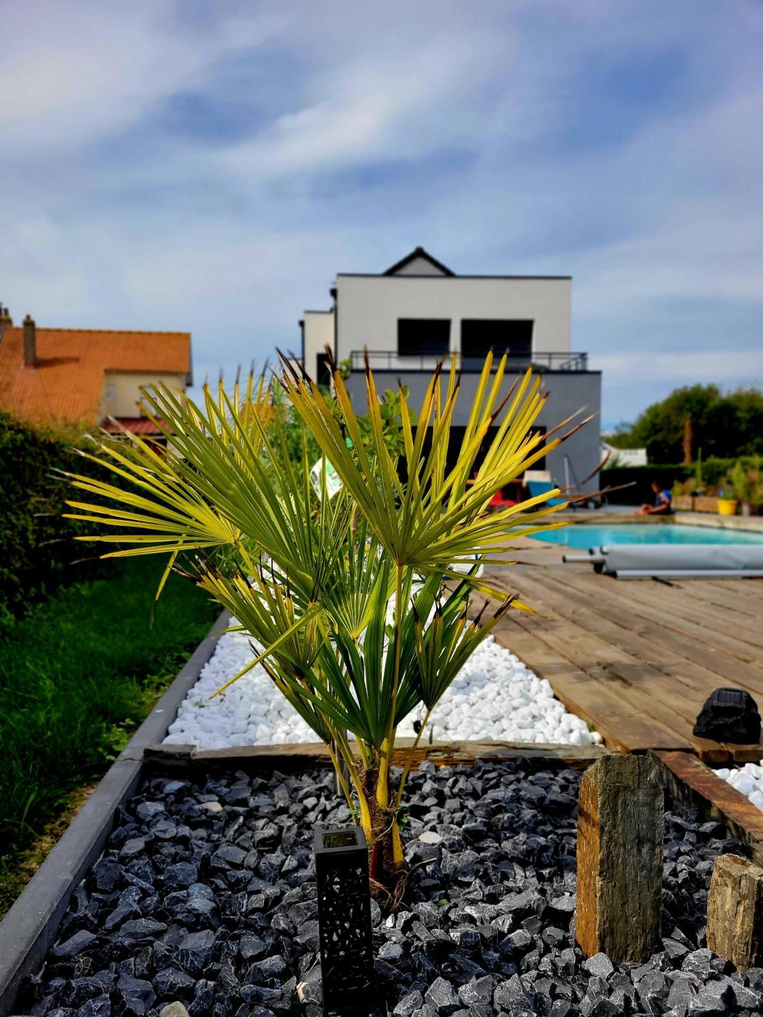 Villa Oriel 1 A Neufchatel-Hardelot Avec Piscine Privee Bagian luar foto